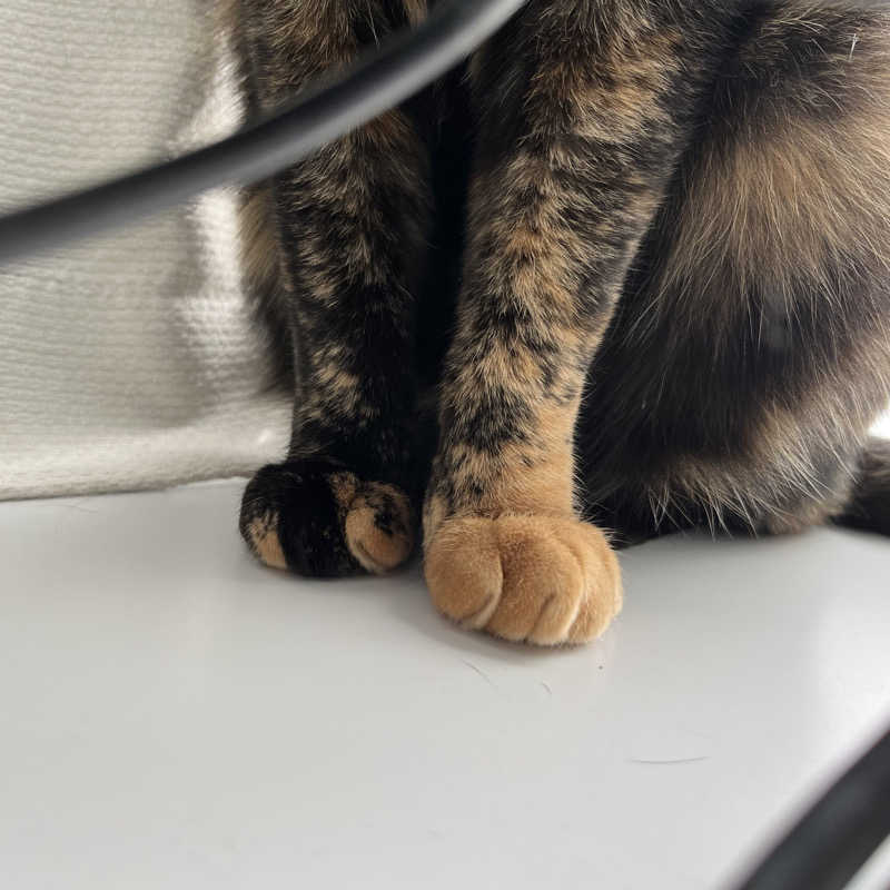 ぁぃ🖤🐈‍⬛さんのサウナヘヴン草加のサ活写真