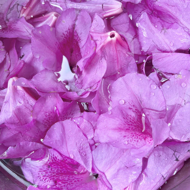 ぁぃ🖤🐈‍⬛さんのサウナヘヴン草加のサ活写真