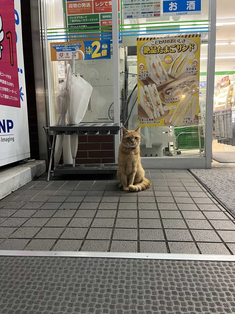 ぁぃ🖤🐈‍⬛さんのサウナヘヴン草加のサ活写真