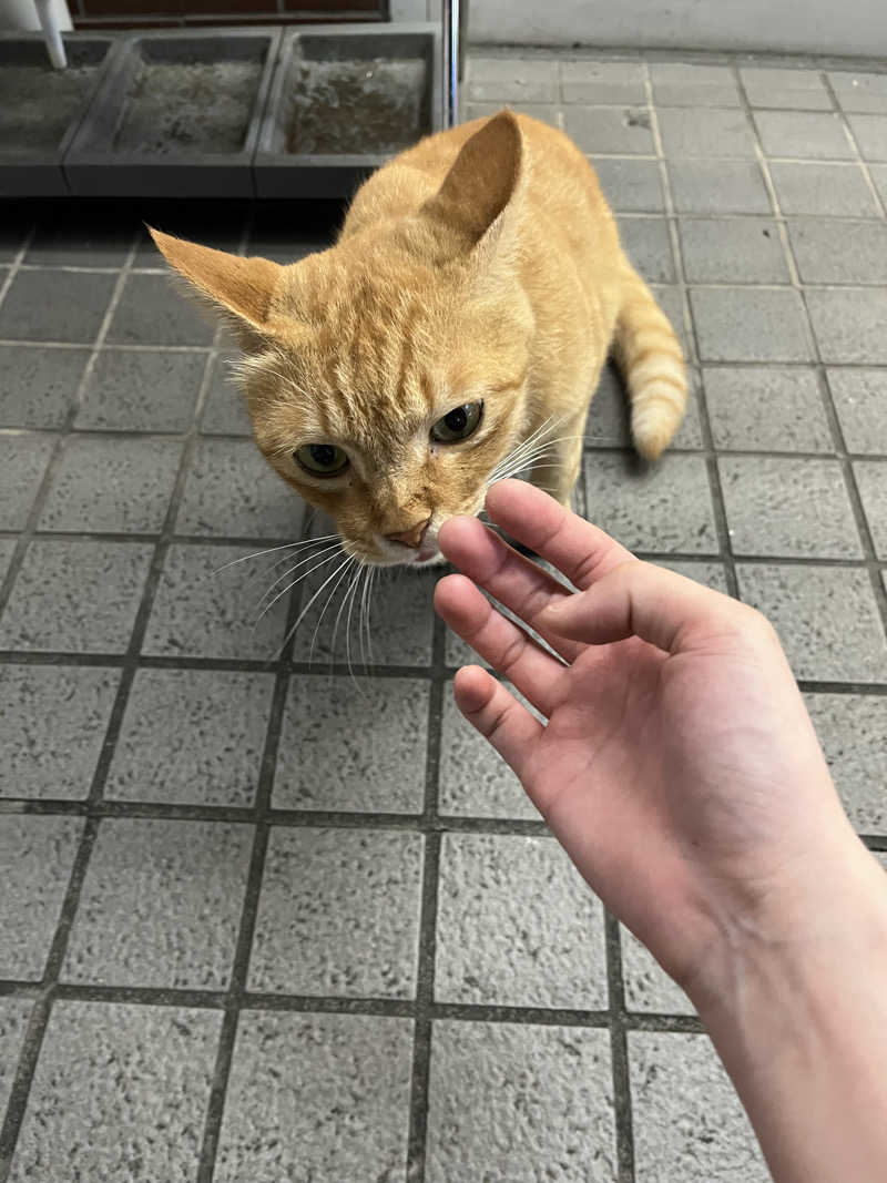 ぁぃ🖤🐈‍⬛さんのサウナヘヴン草加のサ活写真