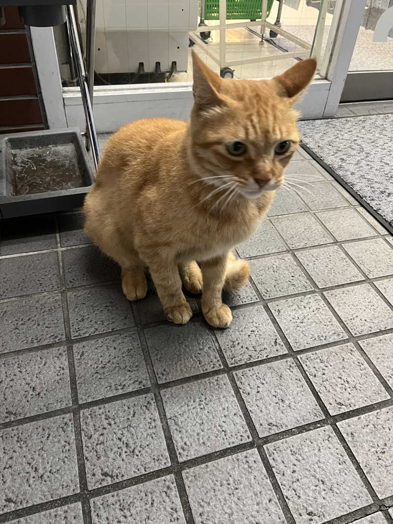 ぁぃ🖤🐈‍⬛さんのサウナヘヴン草加のサ活写真