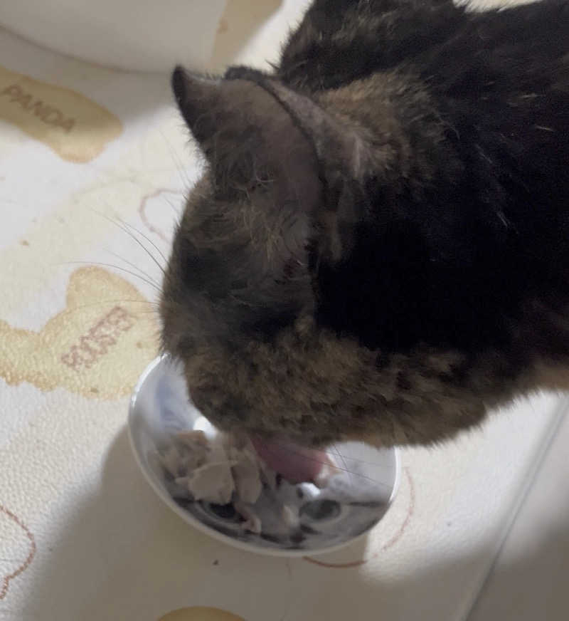 ぁぃ🖤🐈‍⬛さんのサウナヘヴン草加のサ活写真