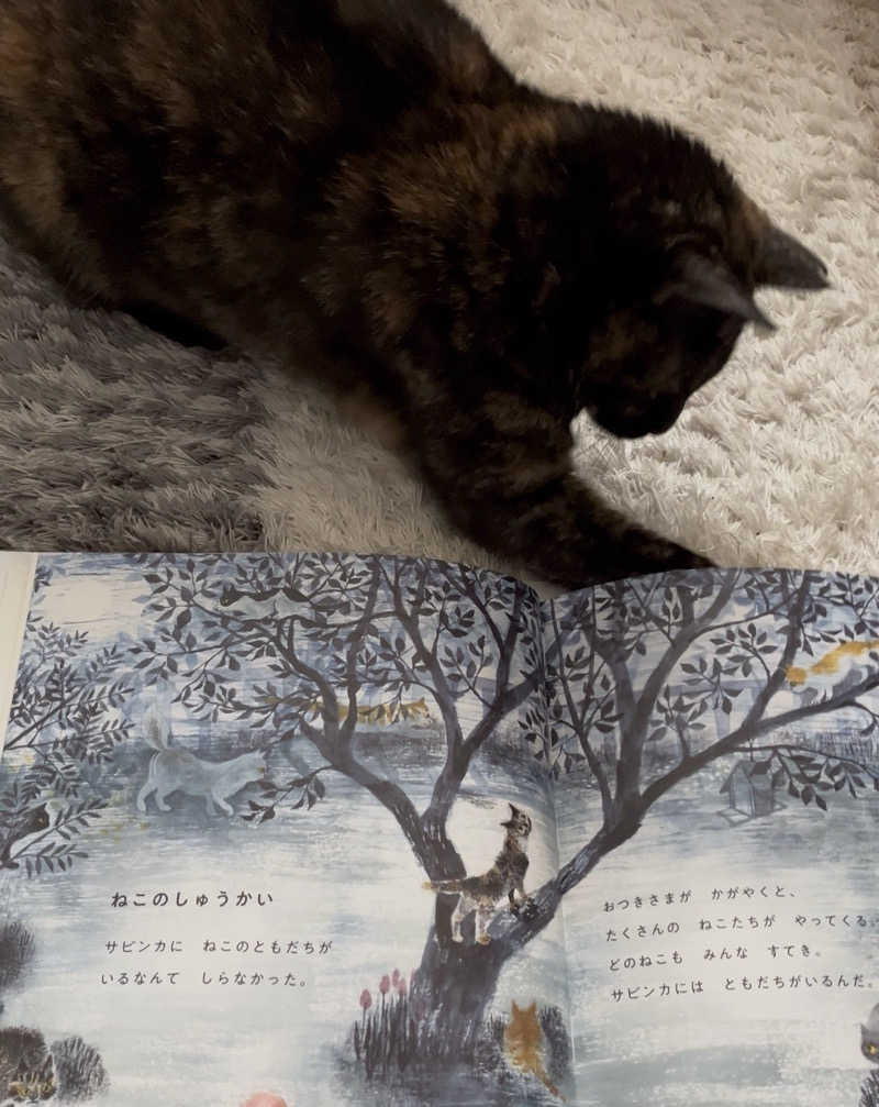 ぁぃ🖤🐈‍⬛さんのサウナヘヴン草加のサ活写真