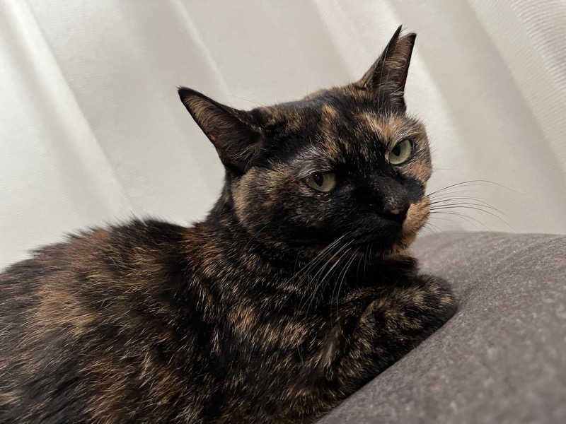 ぁぃ🖤🐈‍⬛さんのサウナヘヴン草加のサ活写真