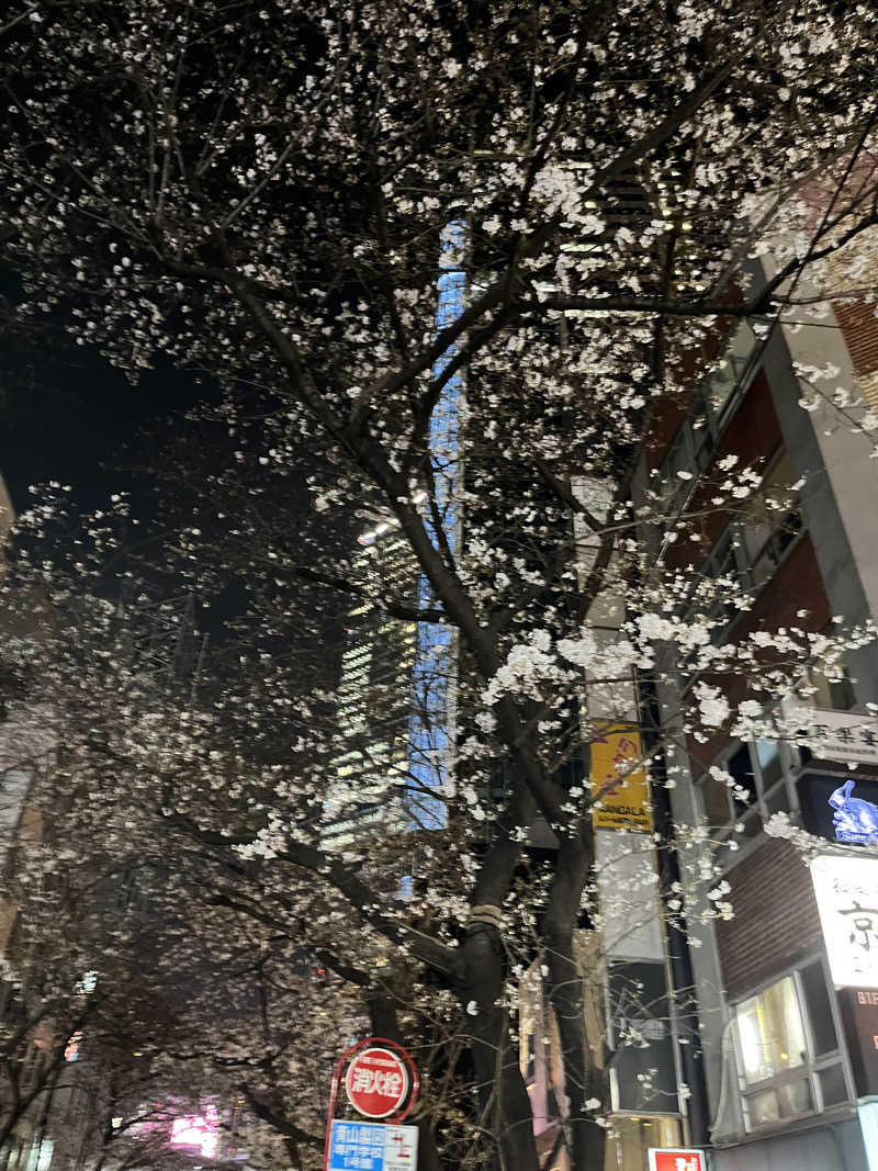 じり〜た🐕さんの渋谷SAUNASのサ活写真