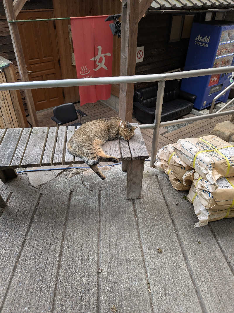 おれんヂねりさんのはらだの湯のサ活写真