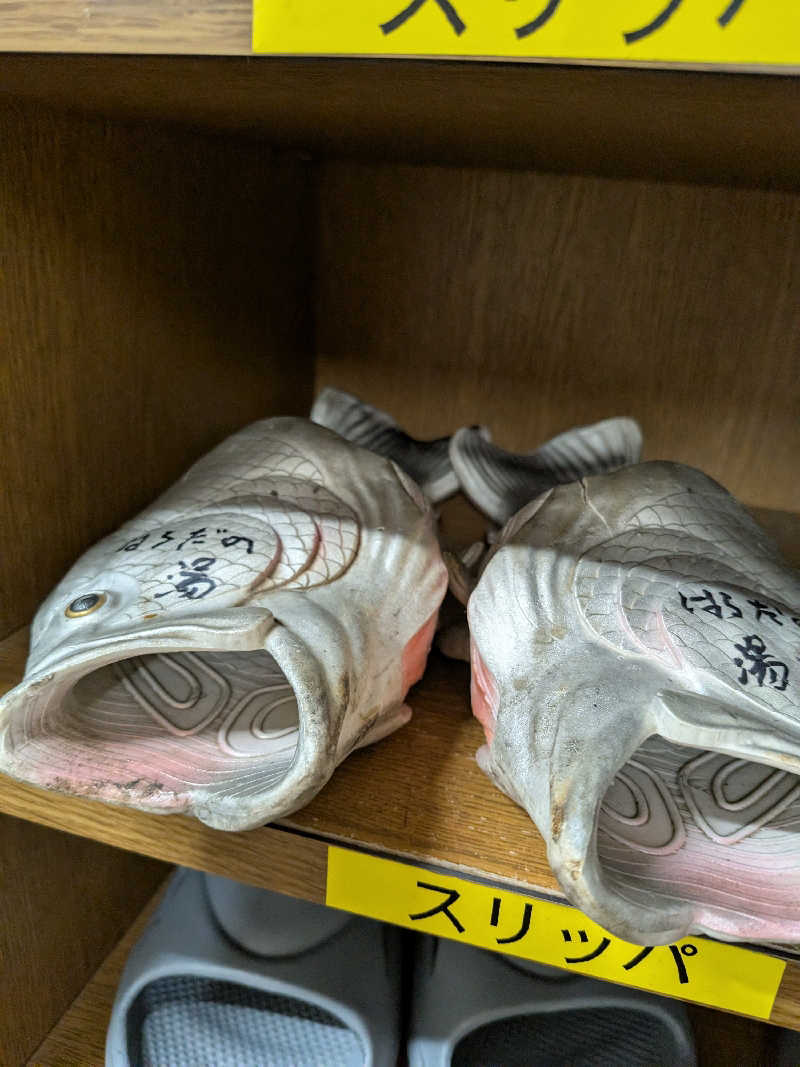 おれんヂねりさんのはらだの湯のサ活写真