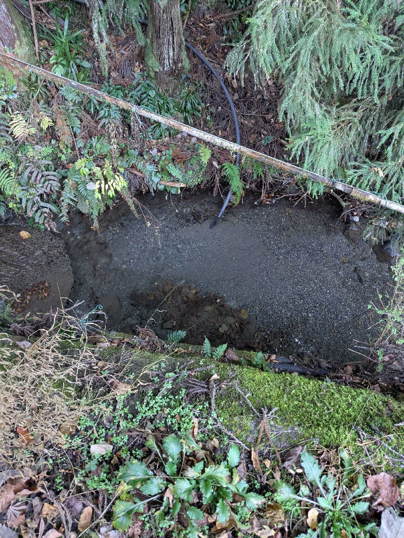 おれんヂねりさんの紀美野サウナ&ホテルのサ活写真