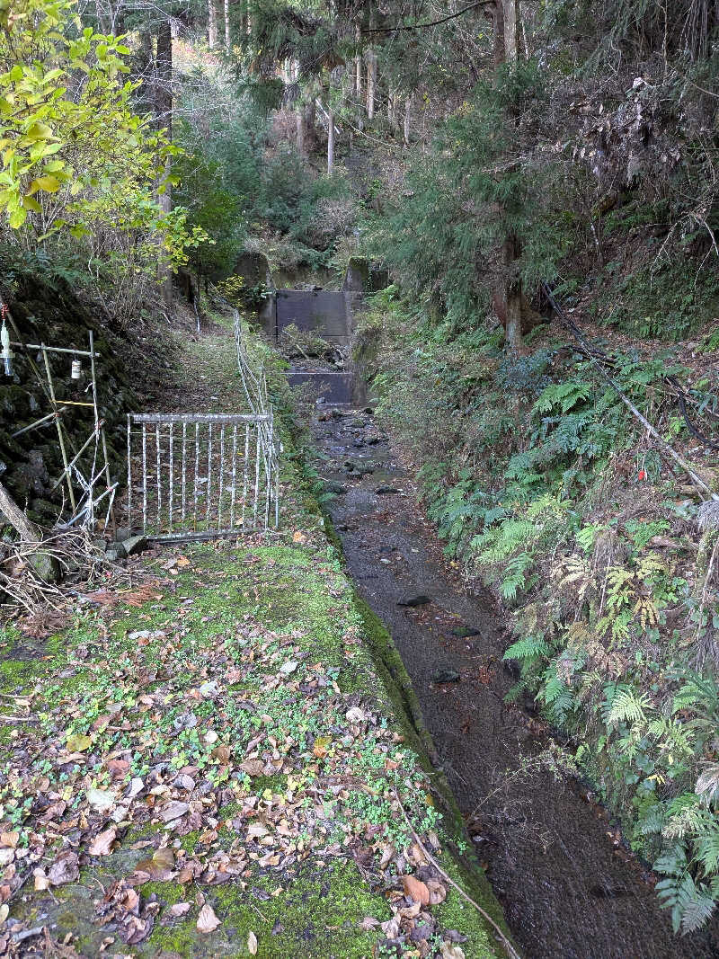 おれんヂねりさんの紀美野サウナ&ホテルのサ活写真