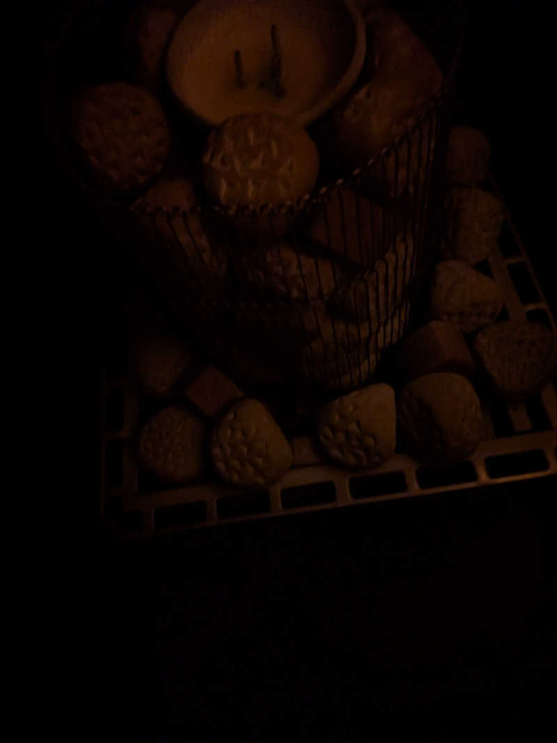 おれんヂねりさんのSAUNA Pod 槃のサ活写真