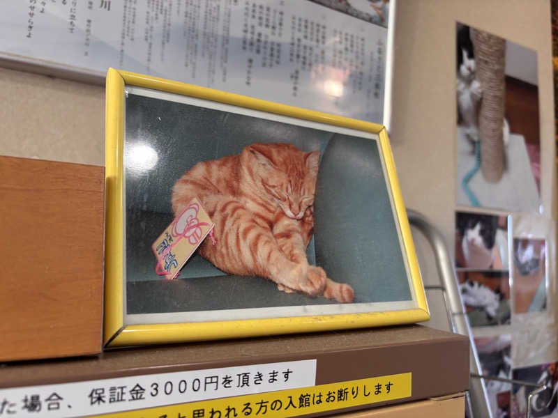 あおばたさんの豆坂温泉 三峰荘のサ活写真