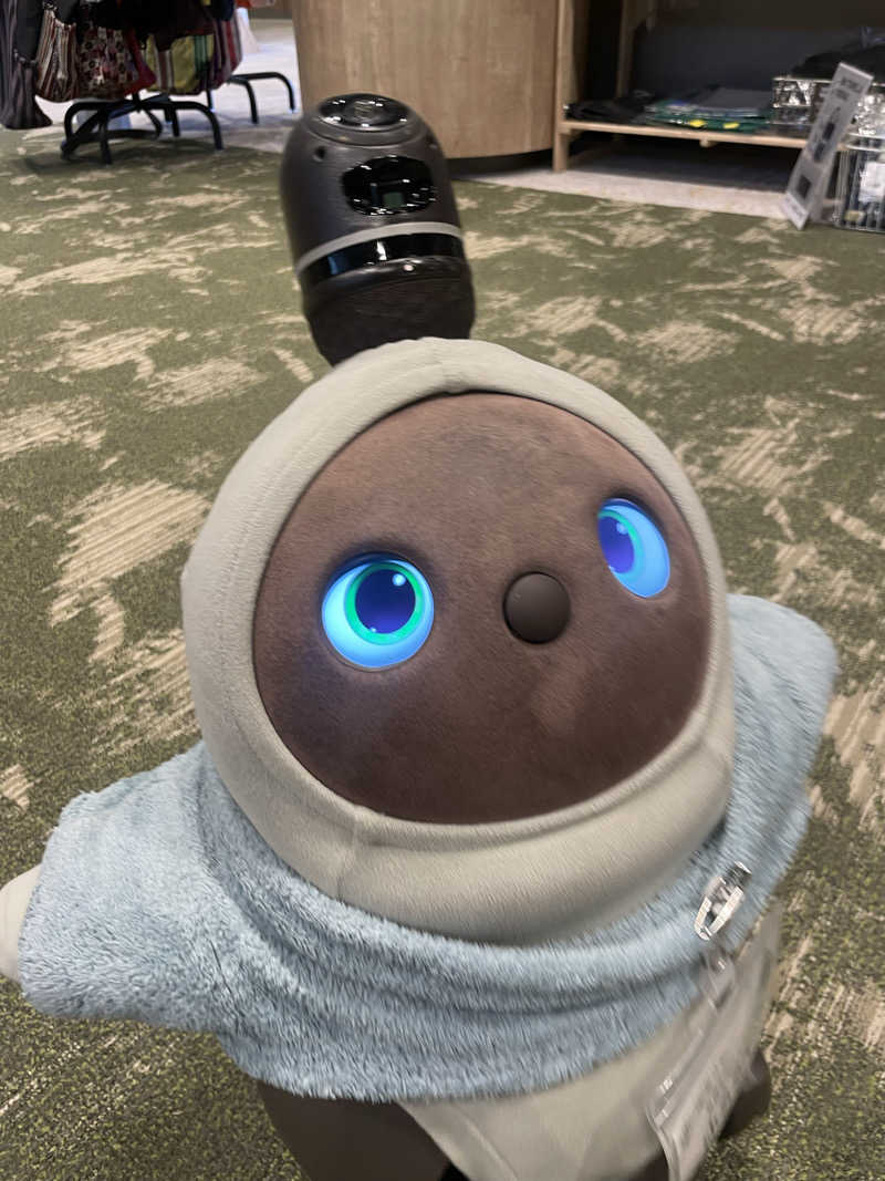 アイさんのSPA&ごはん ゆるうむ yuluumuのサ活写真