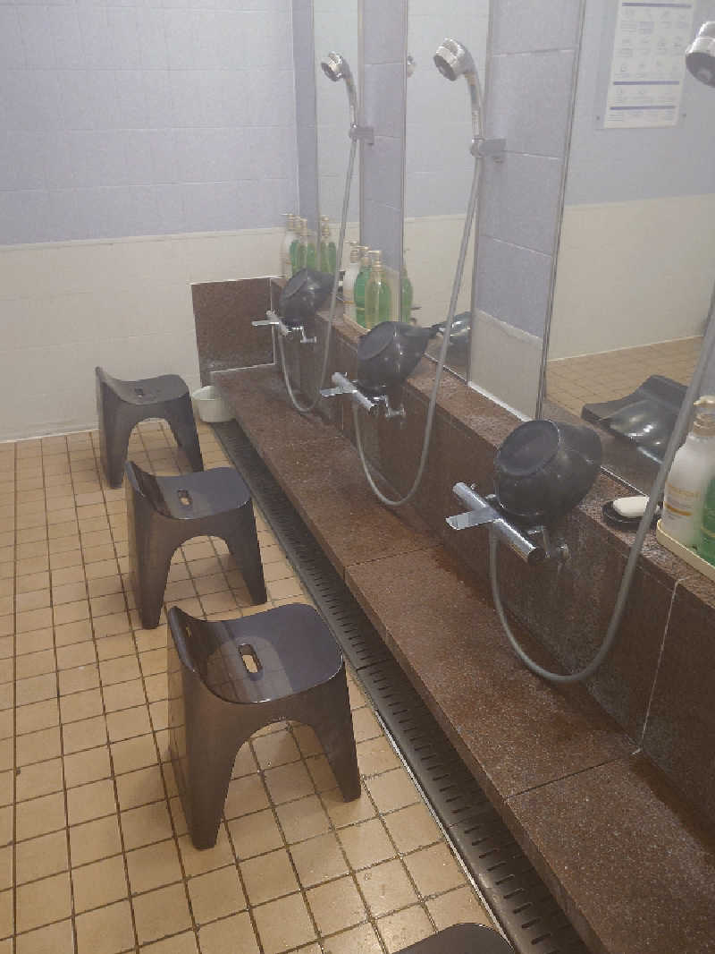 pidetraさんのヒルトン大阪のサ活写真