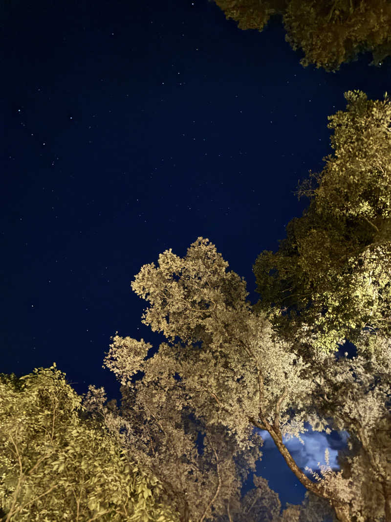 下町サウナーさんのThe Saunaのサ活写真