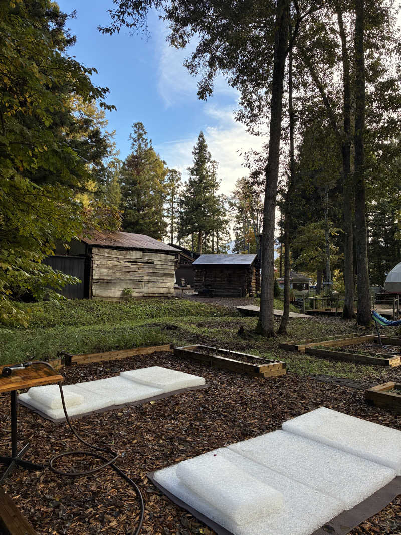 下町サウナーさんのThe Saunaのサ活写真