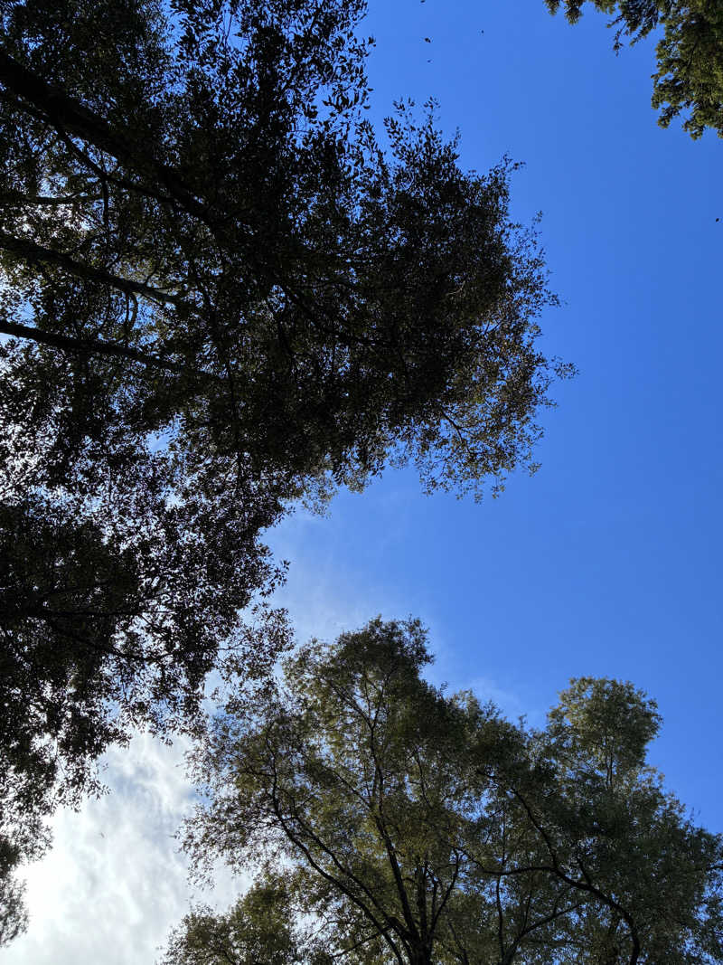 下町サウナーさんのThe Saunaのサ活写真