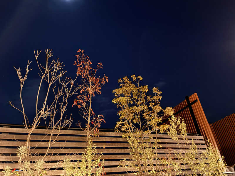 下町サウナーさんの風サウナのサ活写真