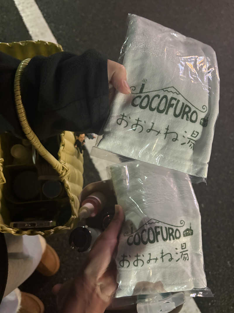@225さんのCOCOFURO おおみね湯のサ活写真