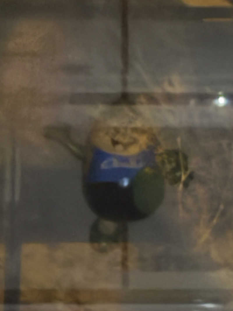 さとぅーさんのふれあい交流センター大芝の湯のサ活写真