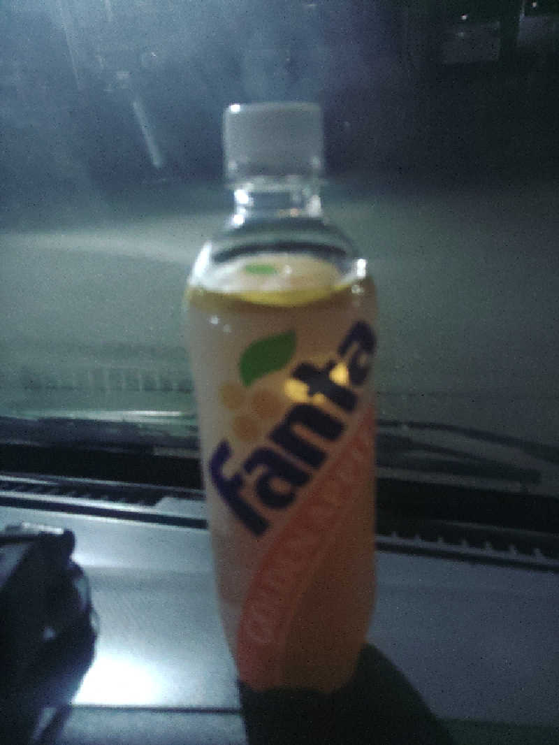 toshiさんのぎなん温泉のサ活写真