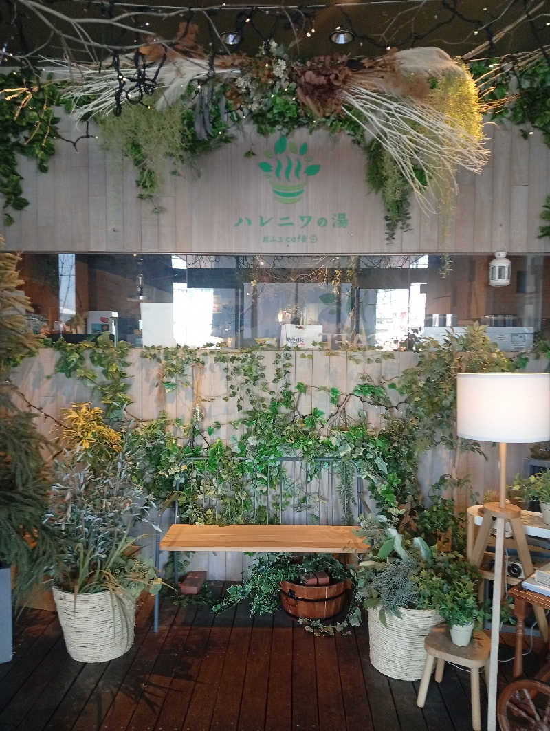 ととのいもさんのおふろcafé ハレニワの湯のサ活写真
