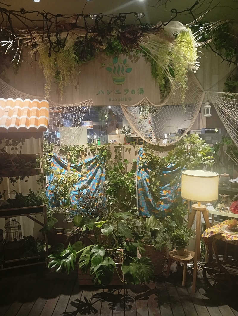 ととのいもさんのおふろcafé ハレニワの湯のサ活写真