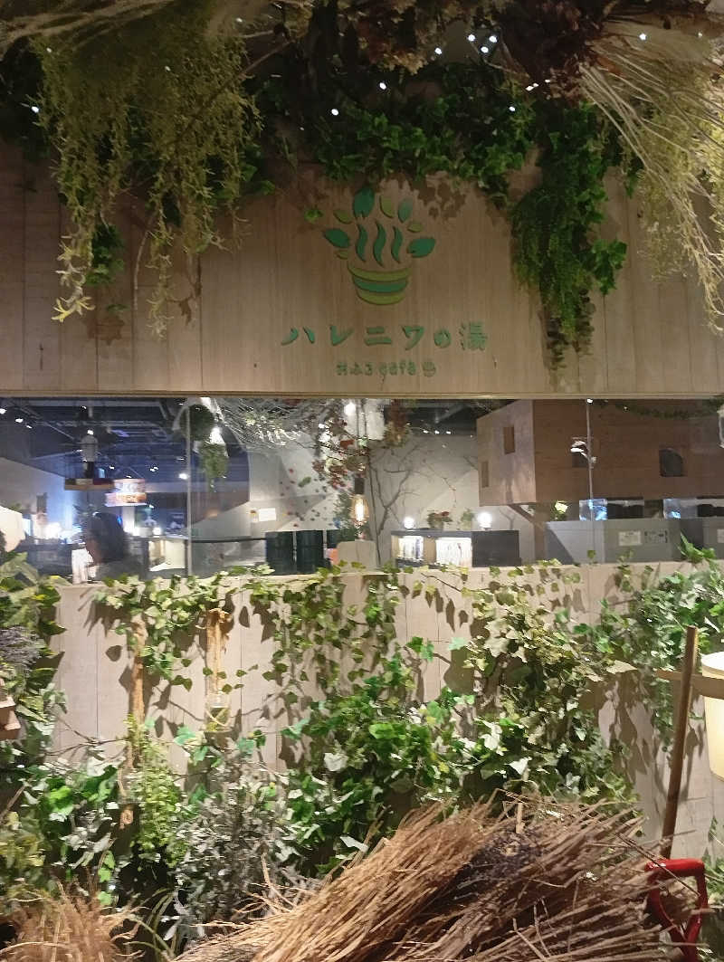 ととのいもさんのおふろcafé ハレニワの湯のサ活写真