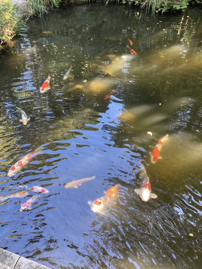 ほこりまみれさんのよみうりランド眺望温泉 花景の湯のサ活写真