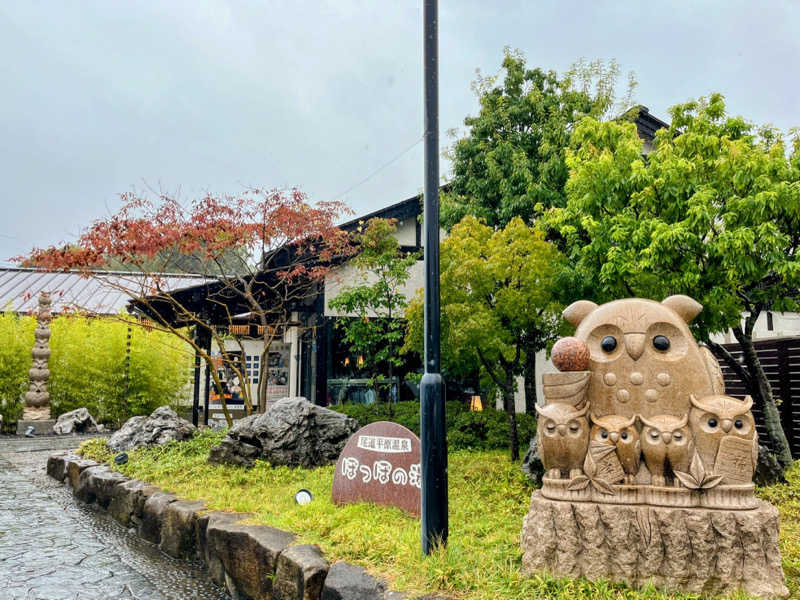 TZさんの尾道平原温泉 ぽっぽの湯のサ活写真