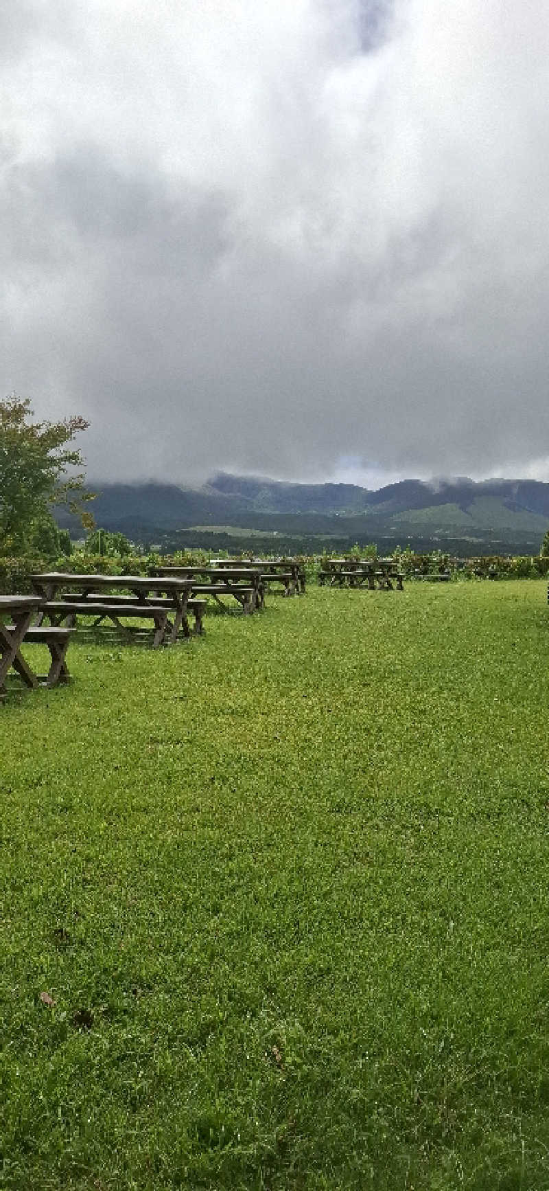 Ｉ.Tadashiさんの寒の地獄旅館のサ活写真