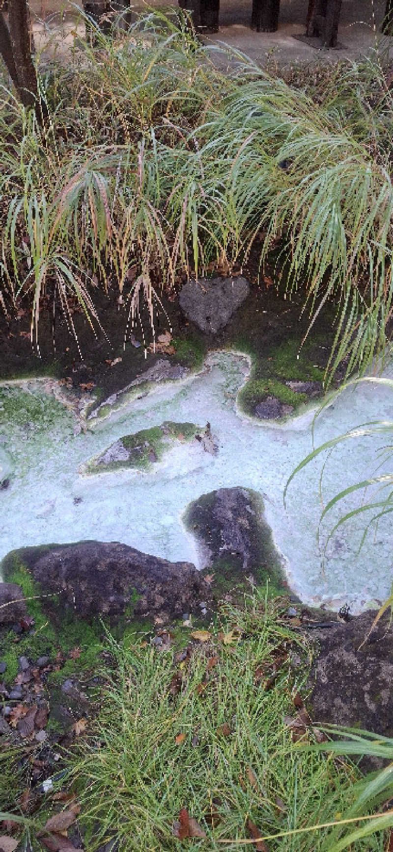 Ｉ.Tadashiさんの寒の地獄旅館のサ活写真