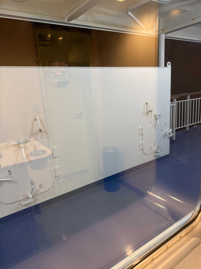 StrayMetalさんのそれいゆ(東京九州フェリー)のサ活写真