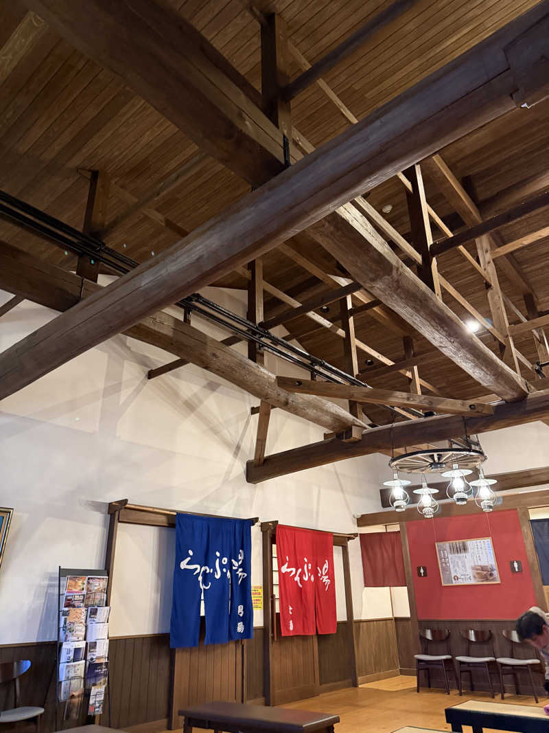 StrayMetalさんの出雲駅前温泉らんぷの湯のサ活写真