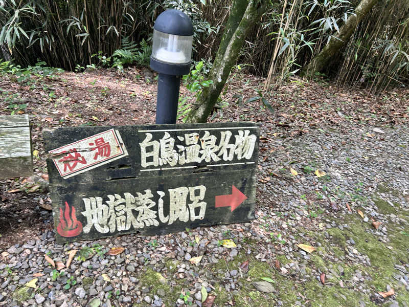 ちゃひぎょうざさんの白鳥温泉上湯のサ活写真