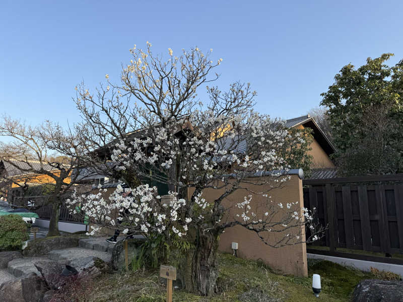 Y.Sugitaさんの天然温泉 三峰のサ活写真