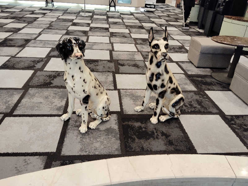 la pâtisserie Kさんのサウナ&カプセル フジのサ活写真