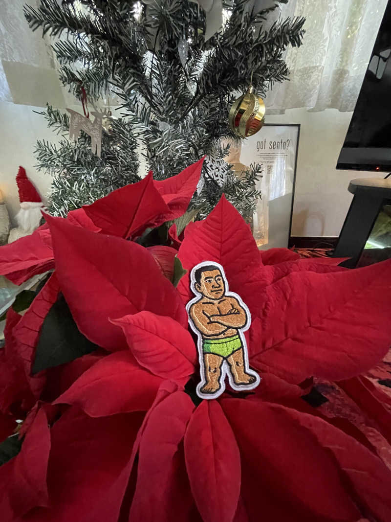 へなおさんの平和湯のサ活写真