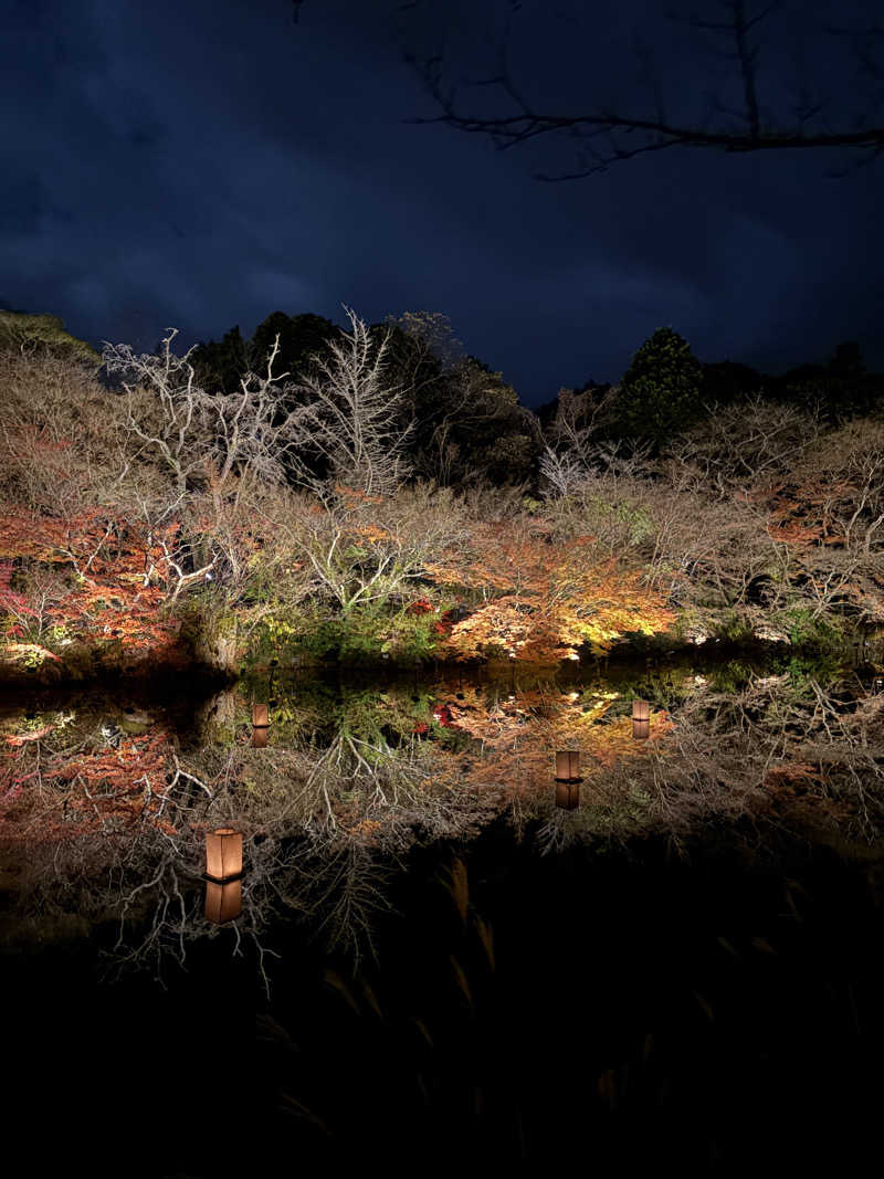 ちゃーちーさんの御船山楽園ホテル  らかんの湯のサ活写真