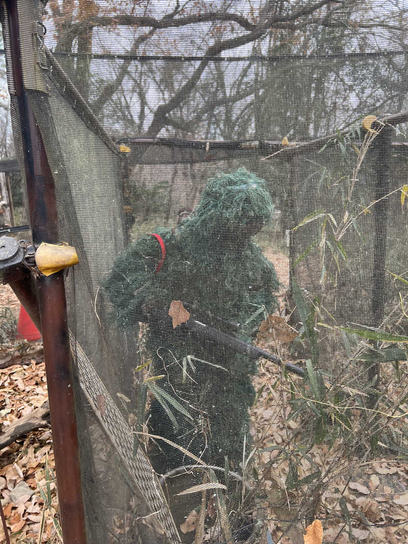 BIMさんの温泉バルコニー キング&クイーンのサ活写真