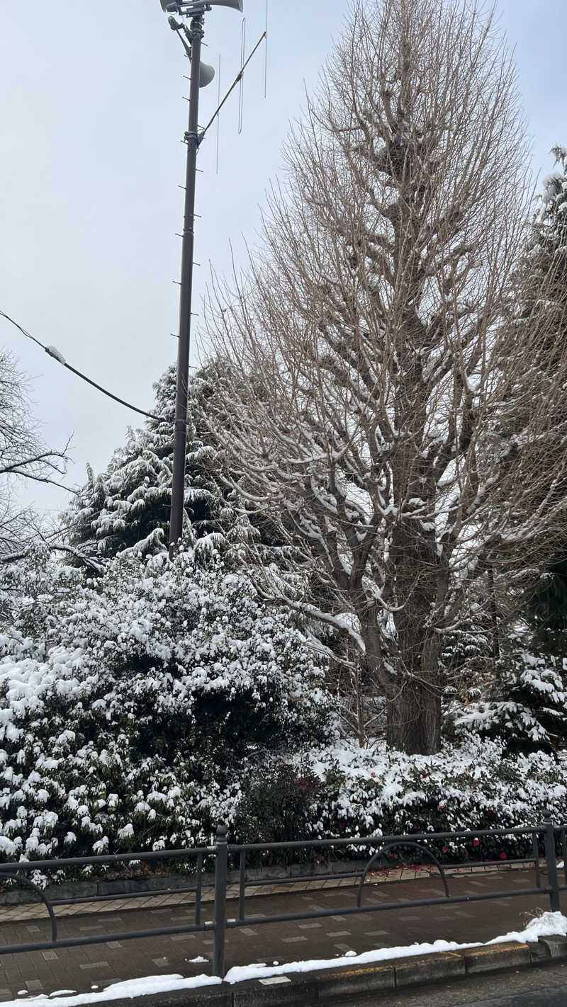 BIMさんの中村浴場のサ活写真