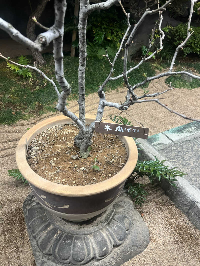 BIMさんの前野原温泉 さやの湯処のサ活写真