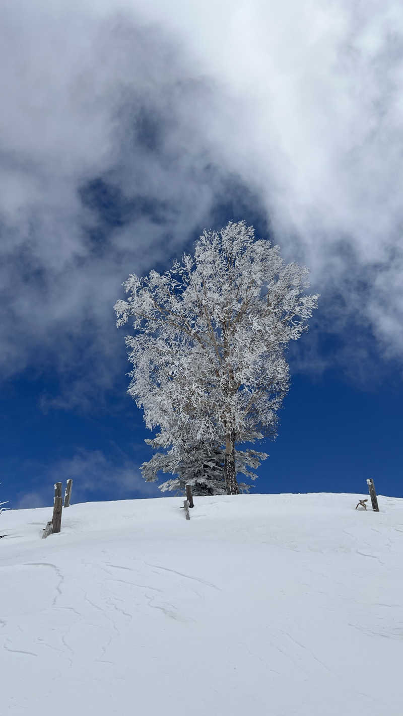 BIMさんのオールドルーキーサウナ 新宿駅新南口店のサ活写真