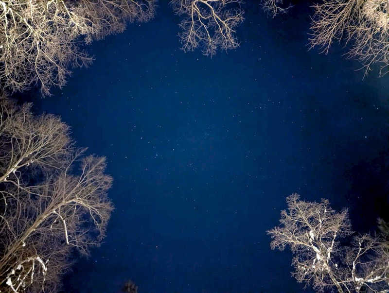 HIROさんのThe Saunaのサ活写真