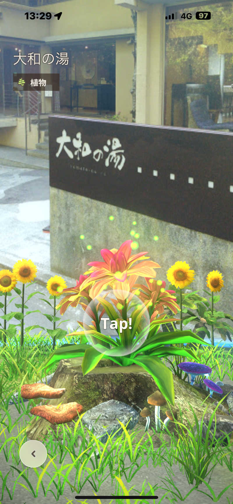 tomotripさんの成田の命泉 大和の湯のサ活写真