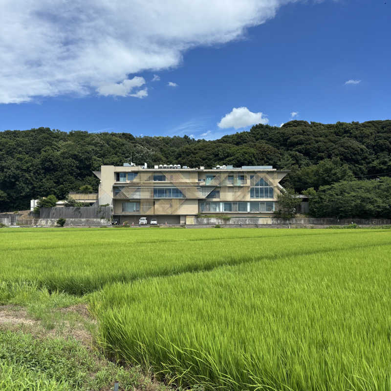 tomotripさんの成田の命泉 大和の湯のサ活写真