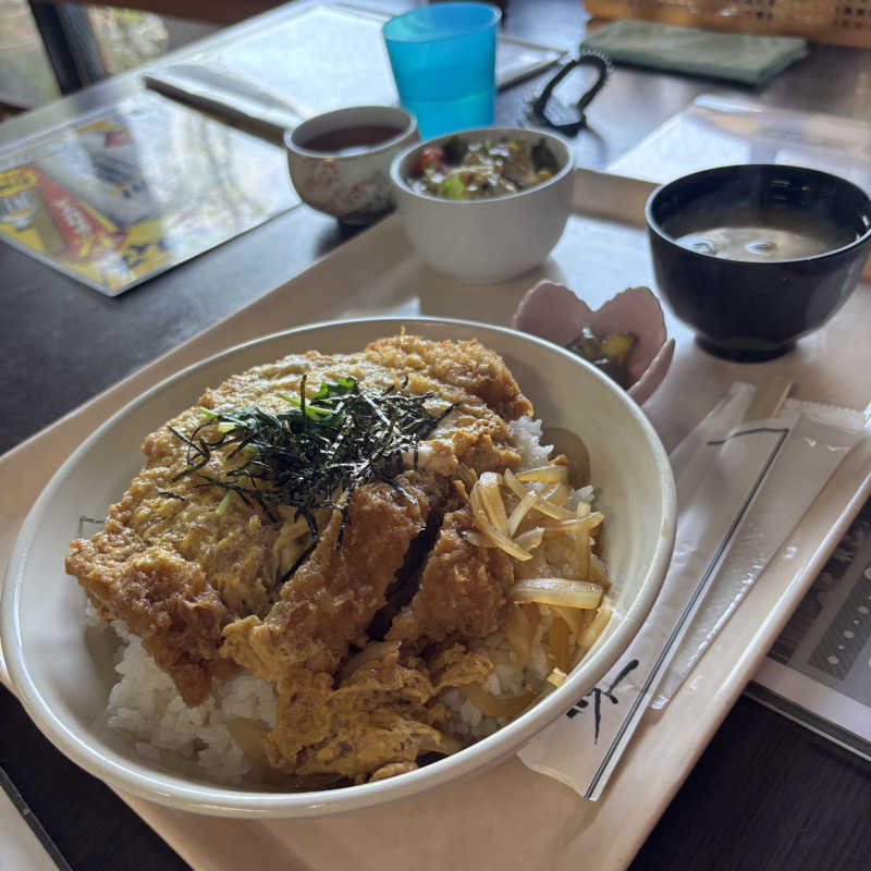 tomotripさんの天然温泉リゾート美人の湯 カーニバルヒルズのサ活写真