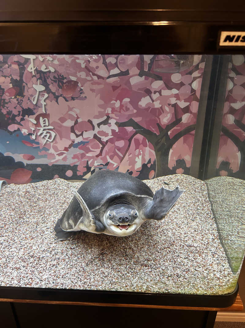 🥺さんの松本湯のサ活写真