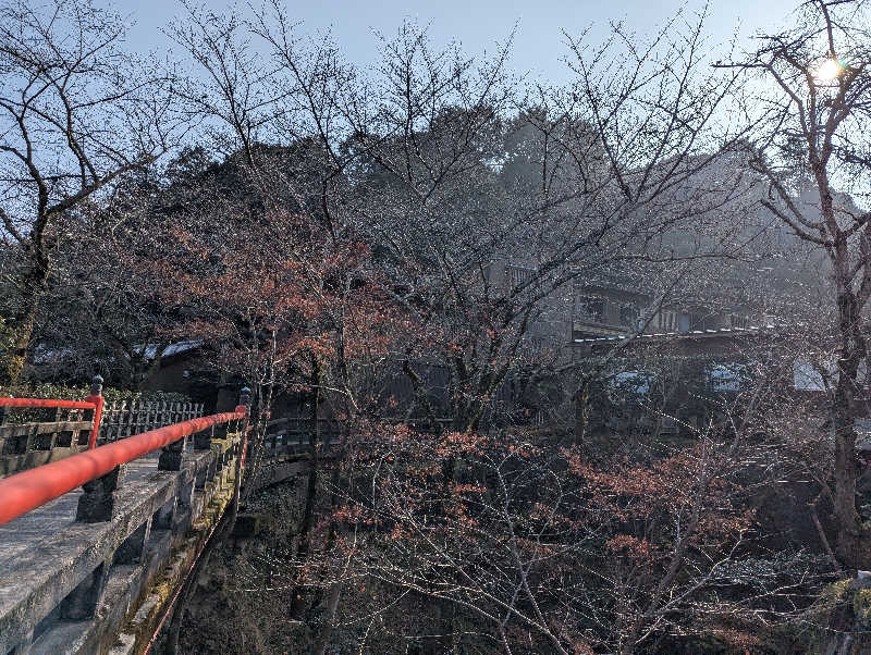 YONASHIさんのこんぴら温泉 琴平花壇のサ活写真