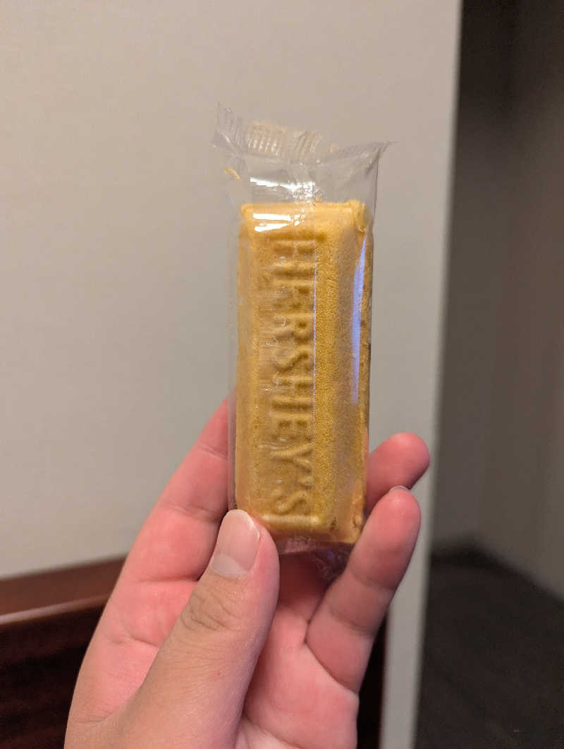 YONASHIさんの白鷺の湯 ドーミーイン姫路のサ活写真