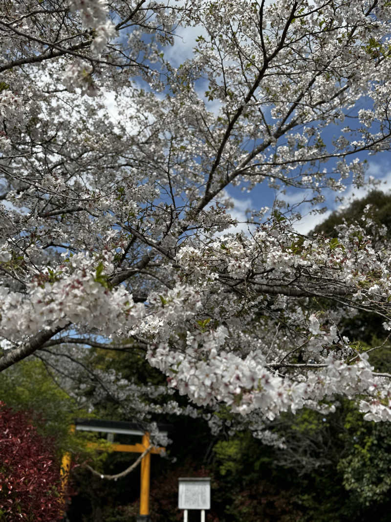 Koichiro♨️さんのグリーンランド市比野ふれあい館のサ活写真